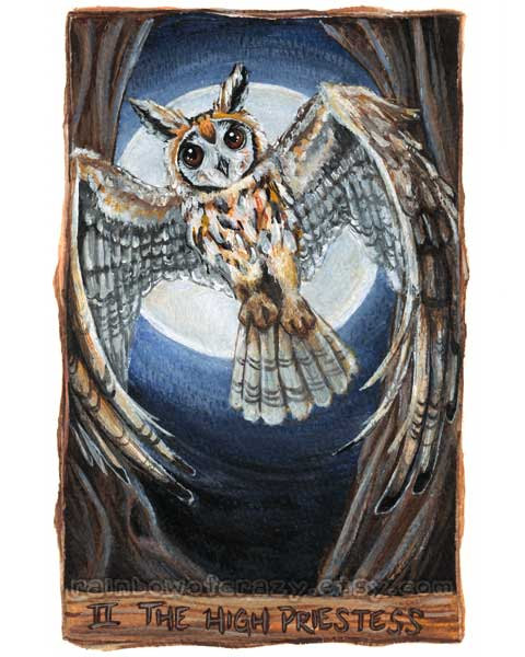 Owl: The High Priestess Tarot